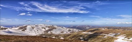 Near Rawsons Pass - Kosciuszko NP - NSW (PBH4 00 10594)